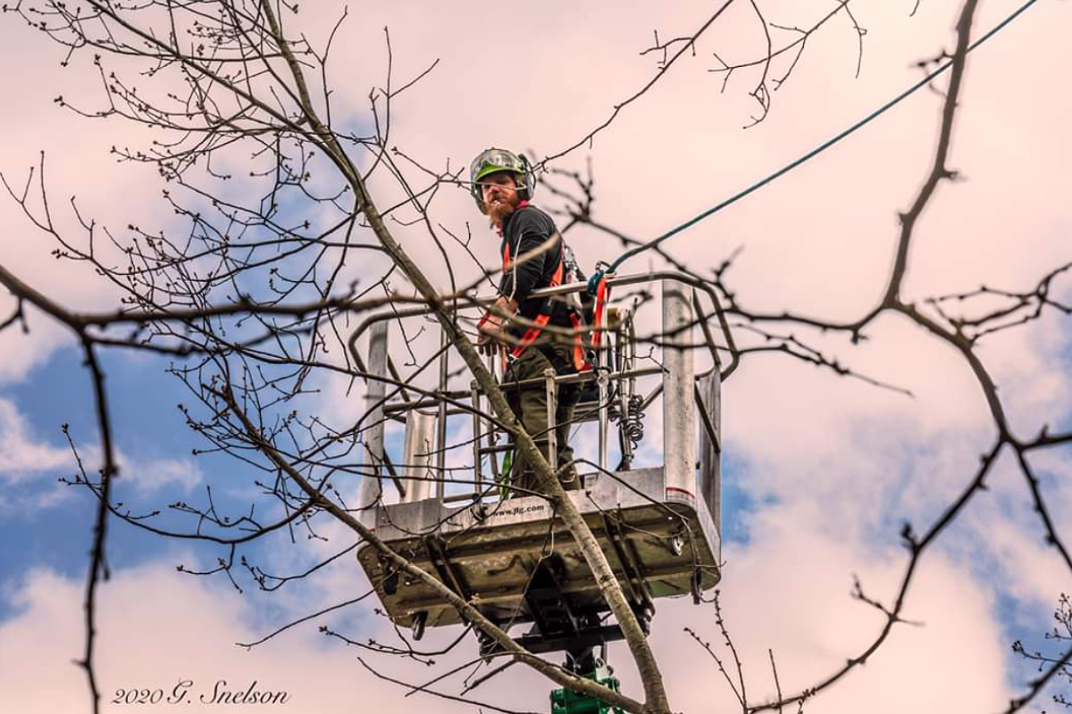 Tree Trimming in West Virginia